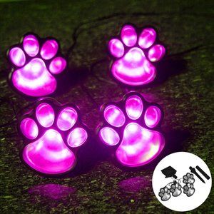 Dog Puppy Paw Path Light